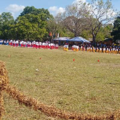 268cb4b5 0bb6 4542 Aeaf Ffd0a57a6d68