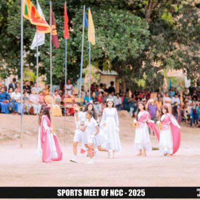 2c7c2148 Ba11 4c8c A05e 22fca60e591c