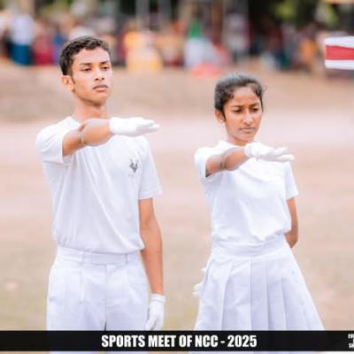 43d67b72 35bf 4d50 90bb D9bcda787242