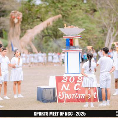 D3ecd385 Ce0f 41b9 A0c5 4fd6afd1872c