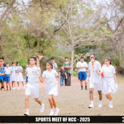 D5f56838 Ff3c 4a24 A963 8147e38ff28b