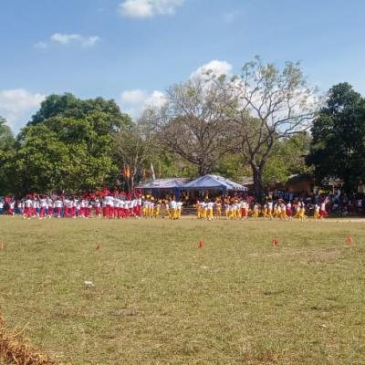 E500cb0d 26df 45e0 B447 C8a07945449d