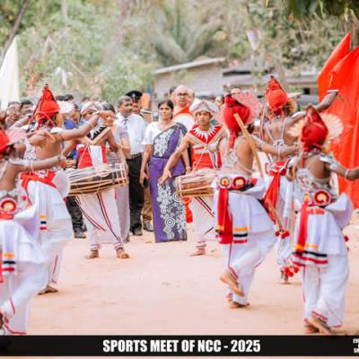 0911fed6 8fb3 443c 8c83 92c4a34d216f