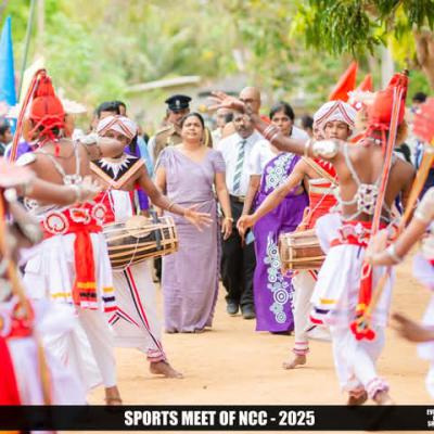 C7f80d88 C92a 4182 B940 0eb5c53e10e2