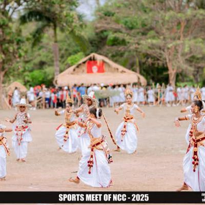 D5480bbd Ab94 4a51 B044 E4e70942bf3f